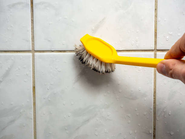 Best Black Mold Removal  in Jackson, MN