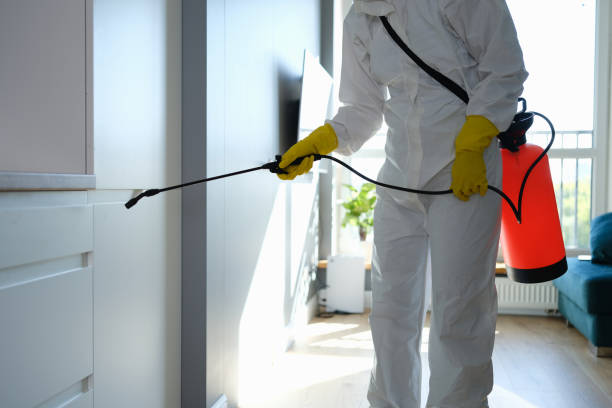 Best Mold Cleaning Services  in Jackson, MN