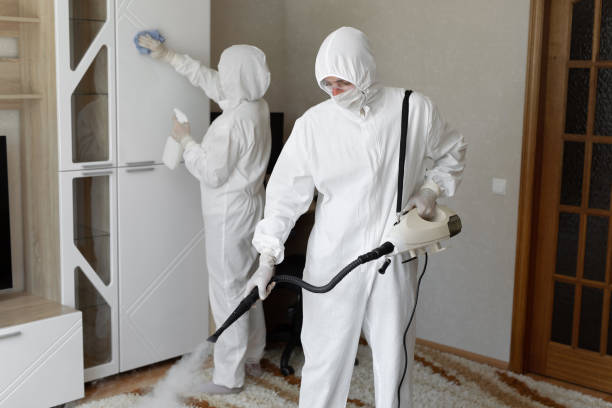 Mold Testing and Removal in Jackson, MN